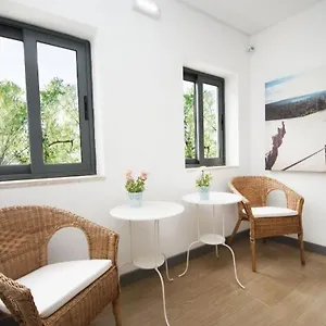 Guest house In Downtown - Serenity
