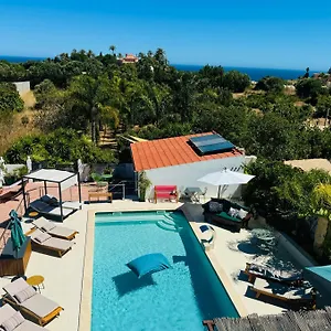 Bed & Breakfast Palm View Guesthouse, Adults Only